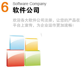 ܛ����˾Software Company
