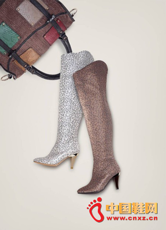 2011���ﶬ�t����ѥ��