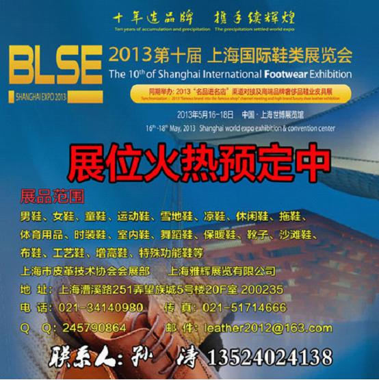 ��   ���2012չ��2013 Ь�I�lչ֮·